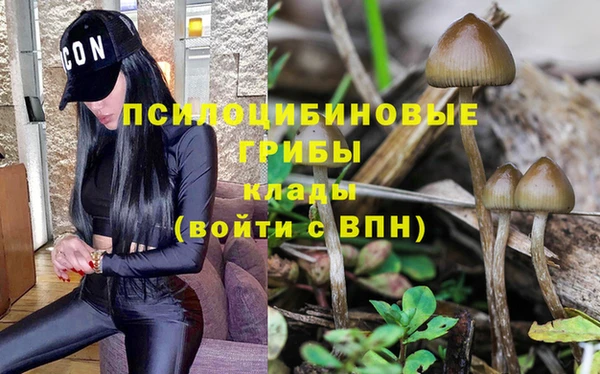 jwh Беломорск