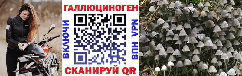 Купить где  Балабаново  Псилоцибиновые грибы прущие грибы 